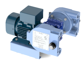 630-310-2, Dual Head, 10:1 Randolph Austin Peristaltic Pump